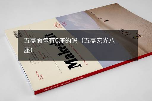 五菱面包有5座的吗（五菱宏光八座）