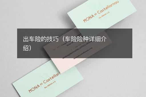 出车险的技巧（车险险种详细介绍）